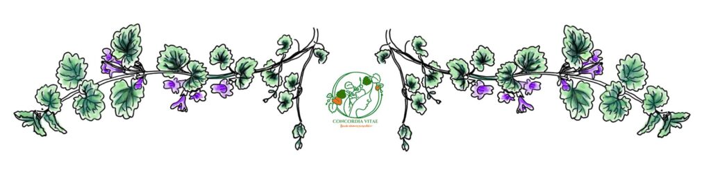 Warsztaty Concordia Vitae – warsztaty zielarskie i artystyczne- logo z kurdybankiem